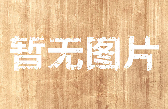 Forthgoer(弗斯格尔)HDMI/YPRPB画面分割器  画面处理器  画面拼接器