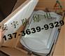 电厂400W金属卤化物灯NSC9720-400带电容50HZ