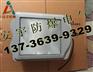 NSC9700-N250/50HZ（钠灯250W）防震投光灯