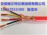 耐腐蚀-高温耐寒电缆ZR-DJFGP、NH-DJF46GRP