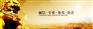 佛山代买社保公司，代买社保，佛山集体社保代理
