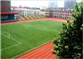 足球场造价  足球场施工价格 学校足球场施工