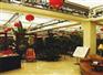 潍坊优质的生态温室供应：山东省莱芜生态温室建造