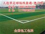 上饶永新县新干县足球草坪足球场足球场草坪