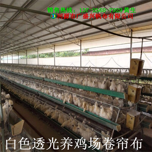 江西吉安帆布厂家 专业定做养鸡场卷帘布 保温养鸡舍卷帘帆布&nbsp;&nbsp;鸡舍卷帘布&nbsp;&nbsp;养殖场卷帘布