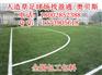 开原市新宾满族自治县人造草皮足球场