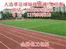 兴城市盖州市彰武县人造草皮足球场/人造草皮足球场价格