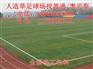 江门遂溪县徐闻县足球草坪足球场足球场草坪