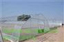 塑料大棚建造蔬菜种植塑料大棚怎么建造