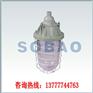 BAD-J105W防爆节能灯
