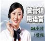 语音群呼系统 电话营销系统