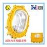 BLED-9105A 防爆免维护防爆灯 LED防爆灯 壳体加