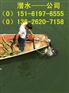 太仓专业打捞队、电话多少，费用多少