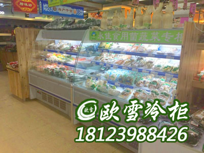 湘潭什么厂家的蔬菜保鲜柜质量好
