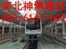石家庄生产钢骨架轻型板（天基板）厂家 选神博建材