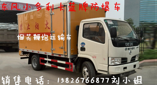 东风小多利卡防爆车 东风小多利卡防爆车