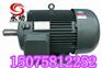 河北衡水电机厂家直销国标Y系列普通电机4-6-8级质量保证