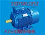 生产厂家直销国标Y2系列三相异步电机
