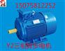 Y2系列三相异步电机4-6级河北衡水电机厂家现货直销