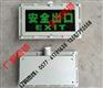 BAYD81-b-A防爆标志灯 防爆壁装疏散灯 220V