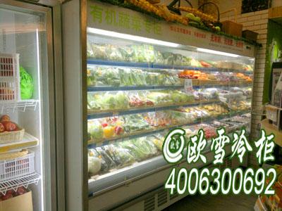 欧雪风幕水果蔬菜冷柜  江西南昌  水果蔬菜保鲜冷柜  哪个品牌好