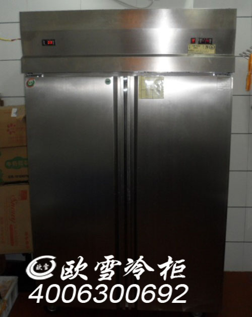 厨房商用冷柜  怀化  哪个品牌好