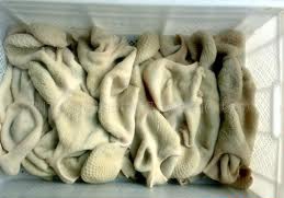 供应合肥牛肚  新鲜健康 美味佳肴  冷冻牛肚  美味牛肚
