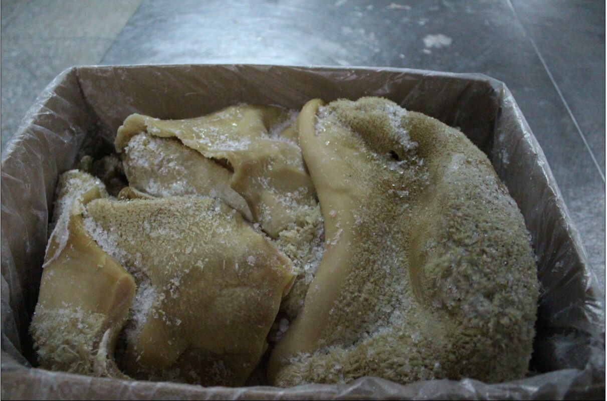 供应南京牛肚  生态无注水 健康品质佳  绿色美食