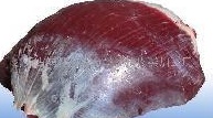 供应南京牛三扒  生态无注水 健康品质佳  绿色食品