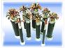 船用电缆 CEFR 3*25+1*10