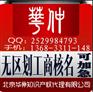 国家工商局网上核名