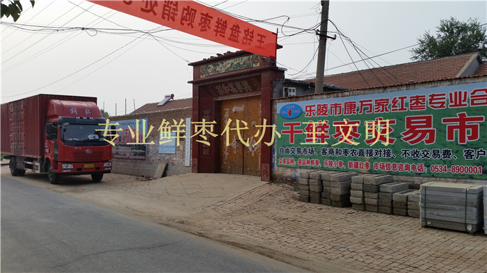鲜枣批发商  山东鲜大枣  鲜枣供应商  鲜枣代办