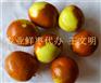 鲜枣批发商