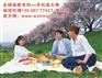 诚招全国代理手机屏幕放大镜 手机护眼宝 手机放大器