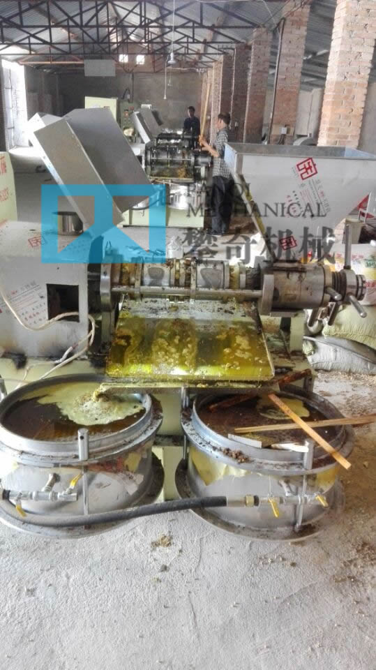 榨花生油首选攀奇80型螺旋榨油机