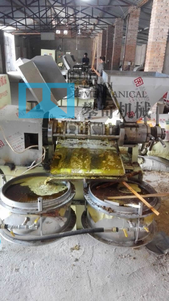榨花生油首选攀奇80型螺旋榨油机