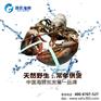 石家庄海鲜批发市场，直航北京孙氏海鲜全年供应保障