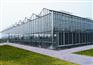 河北专业生产智能文洛型温室厂家