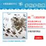 放射粒子植入安全医用肿瘤