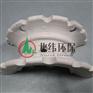 陶瓷异鞍环