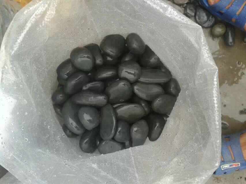 柳州黑鹅卵石厂