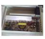 防雨开关电源12V/29A LED电源 电子变压器