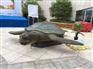 全国特价出租长颈鹿大鲨鱼大鲨鱼气模大猩猩模型租赁出售