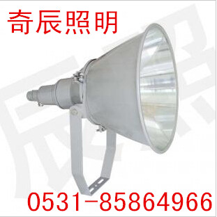 山东防水防尘金卤工厂灯&nbsp;&nbsp;防水防尘灯&nbsp;&nbsp;防水防尘工厂灯