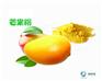 长期供应芒果粉海南新鲜芒果生产qs,GMP车间