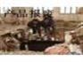 上海过期文件纸熔浆销毁，宝山公司杂志销毁，虹口档案销毁