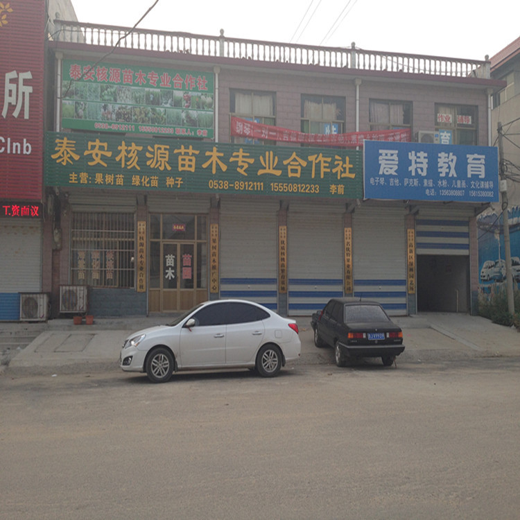 泰安高新区核源苗木专业合作社