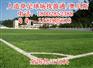 通化市辉南县柳河县足球草坪足球场足球场草坪