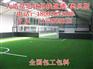 梅河口市江源县抚松县足球草坪足球场足球场草坪