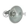 GT101-L400防水防尘防震投光灯|GT101-L250